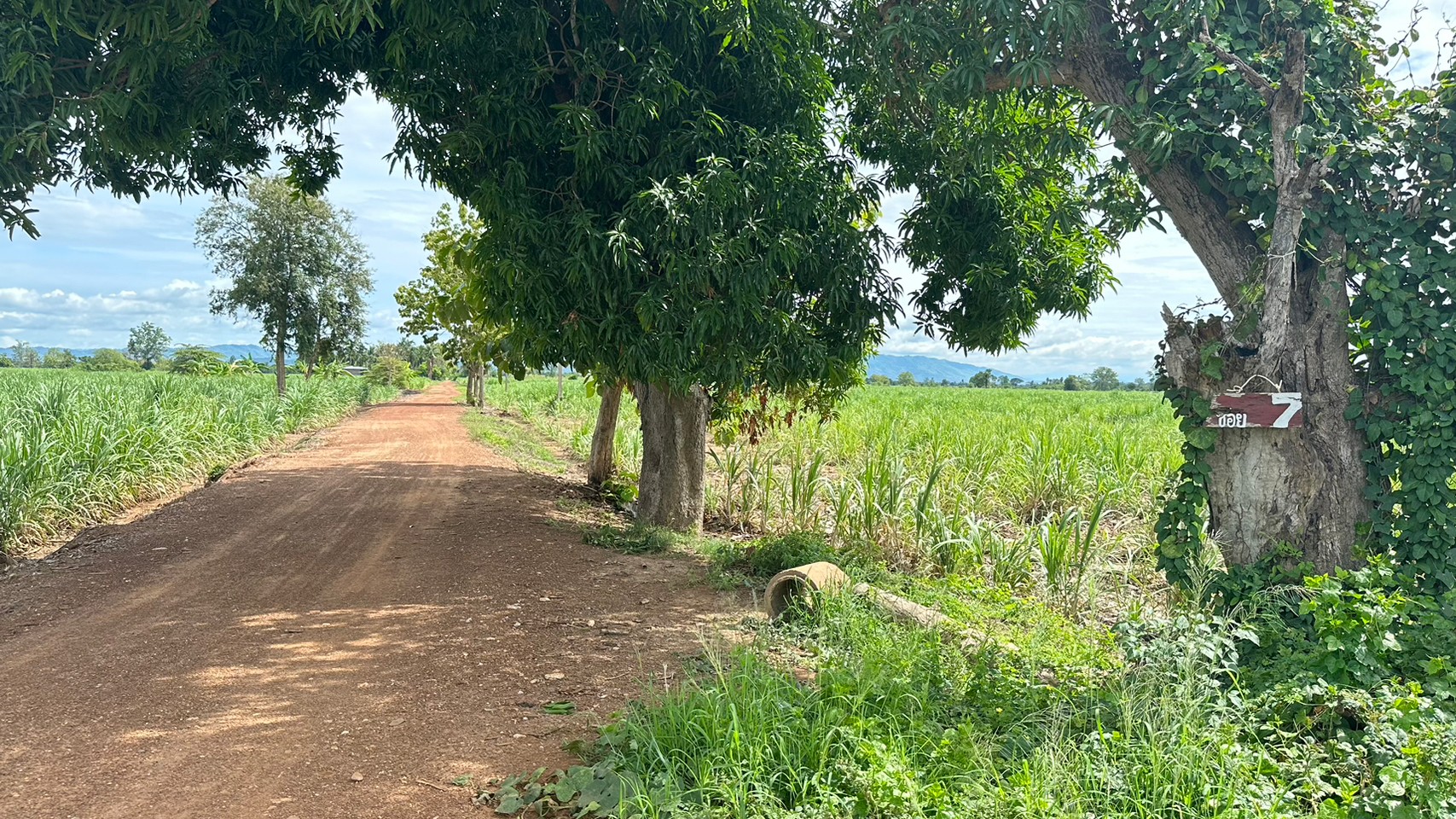 title - สำรวจความเหมาะสมงานพัฒนาโครงสร้างพื้นฐานทางคมนาคมในเขตปฏิรูปที่ดินจังหวัดสุโขทัย